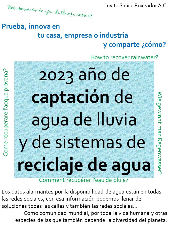 Sauce Boxeador tweet media