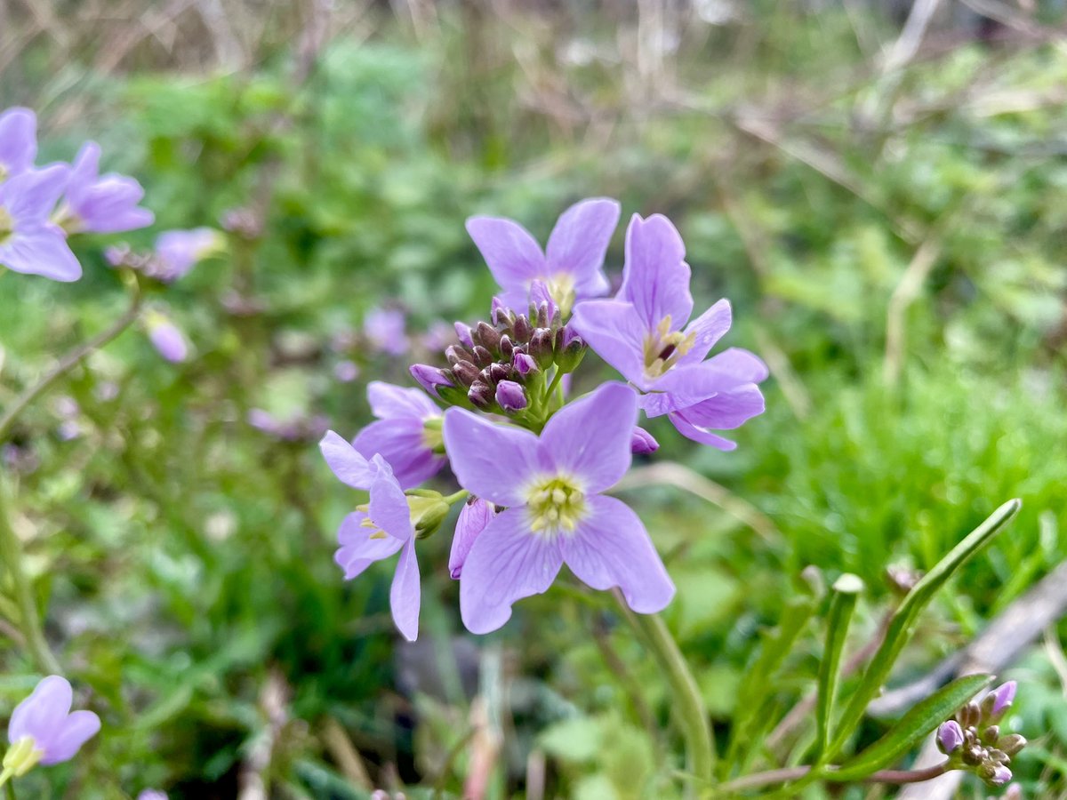 PiedATerreAdventures tweet media