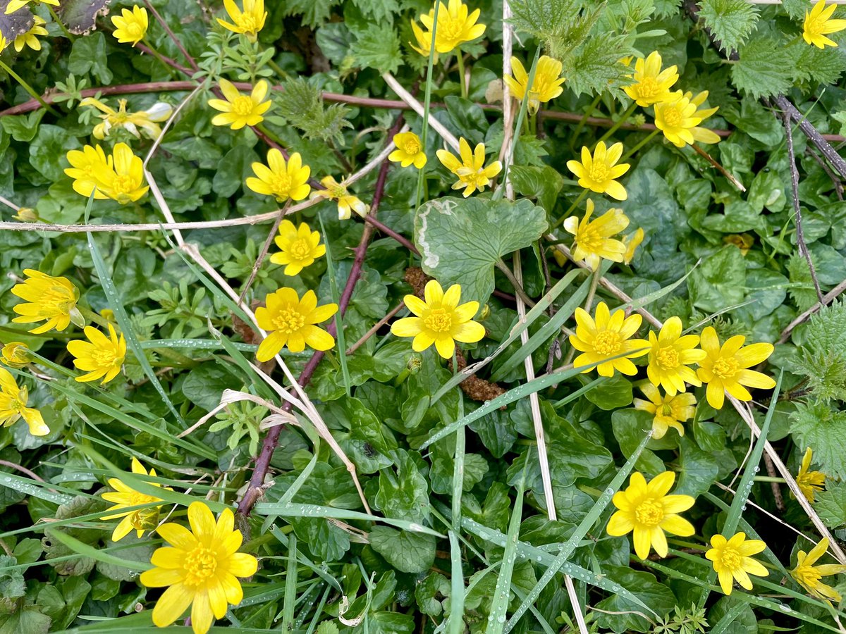 PiedATerreAdventures tweet media