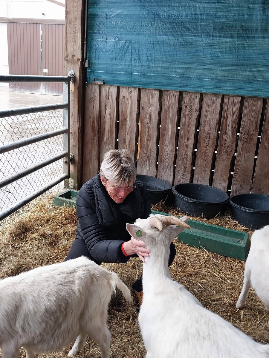 Je reviens juste du refuge @lerevedaby pour animaux issus de l'élevage et de saisi suite à des abandons et de la maltraitance. Ce contact avec les animaux a rechargé mes batteries ❤️
Une deuxième vie pour des animaux qui l'ont plus que mérité.
#ProtectEUAnimals
#EU4AnimalWelfare