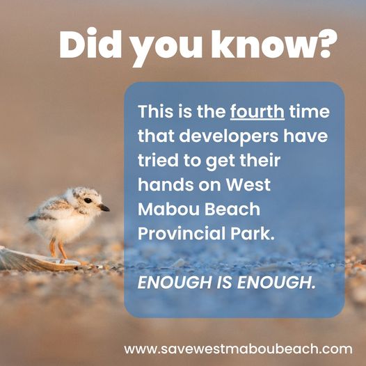 SaveMabou's tweet photo. There's a reason that all other governments have turned them down. 
@TimHoustonNS, we're waiting...  
Learn more: https://t.co/SRqNHaiOKq

#SaveWestMabouBeach #nspoli https://t.co/EMPL2iXRx1