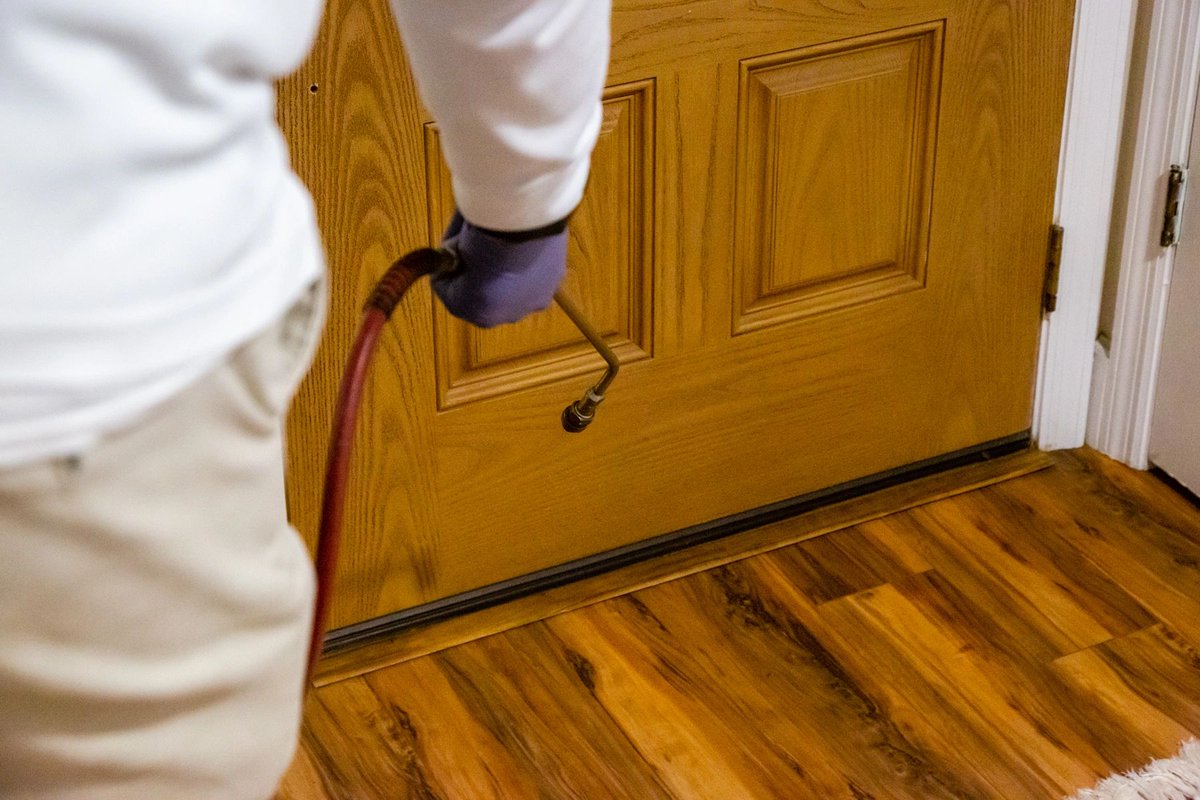 Gmanpestcontrol's tweet image. When you have questions about keeping pests away, we&apos;ll have answers for you! We&apos;ll get the pests out, and help you keep it that way! #GManExterminating #GManPestControl #exterminators #PestControl #EcoFriendly