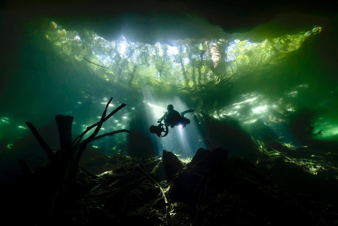 DiveXtras's tweet photo. Leaving the light behind.
📷: @ valeoceano_liquidjungle on Instagram
🤿: @ thecavewitch on Instagram
#divextras #divex #dpvdiving #techdiving #technicaldiving #wreckdiving #cavediving #freediving #scuba #scubadiving #scubadiver #scubadiverslife #scubaworld #divelife #diveworld https://t.co/FLCFJwdMej