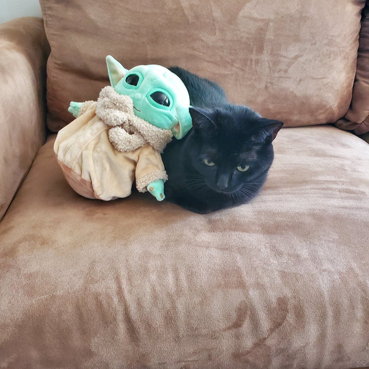 Shes not a fan of grogu