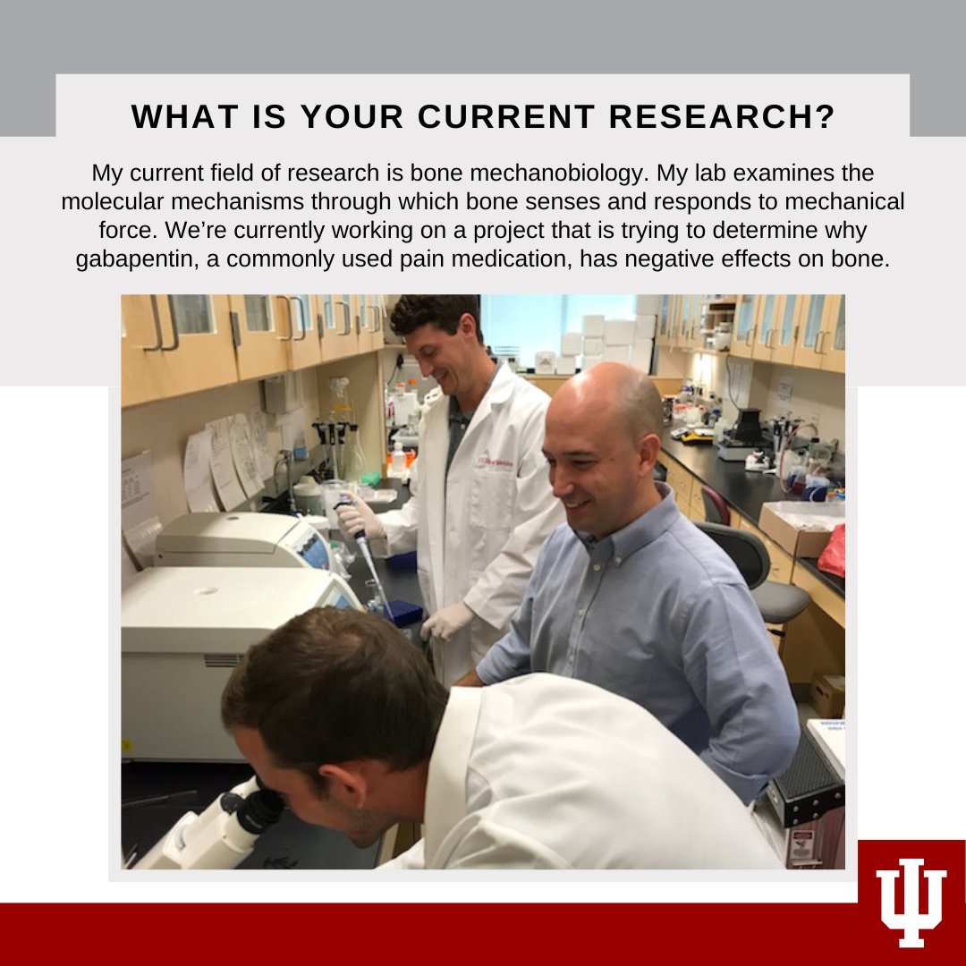 IU Department of Physical Therapy tweet media