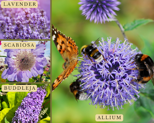 bow_gc's tweet photo. Check out our April newsletter for top gardening tips &amp; discover what's new this Spring🤩🌸🌺  - https://t.co/hJW3F2zoA9 https://t.co/5AlbR7LIVX