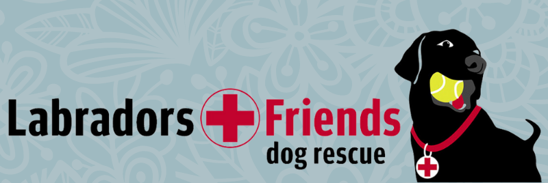 LabsAndFriends's tweet photo. Thinking of adopting? Here's where to start: https://t.co/7pt8kmlw2g
https://t.co/2xAmAwDXQ6 https://t.co/v71Hcg1A84