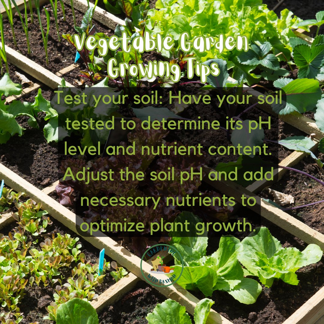 GardeningDaXman's tweet image. Vegetable Gardening Growing Tips. 🥕🌽🥒
#vegetablegardeningtips #growingtips #gardeningwithdaxman