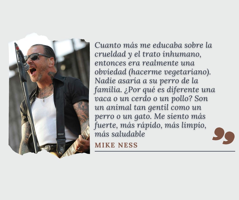 ABC Diario Querétaro tweet media