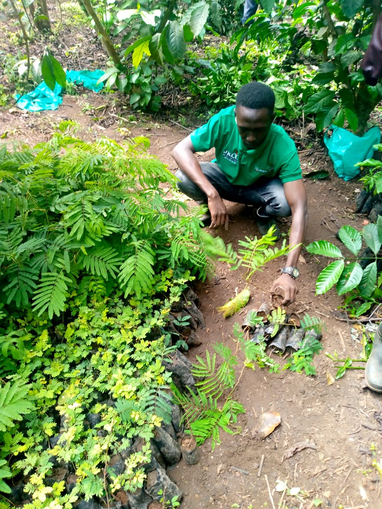 JKCC GENERAL SUPPLIES LTD tweet media