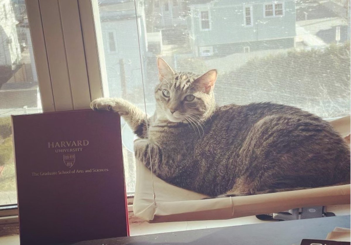 Chelsea Boccagno 🏳️‍🌈 tweet media