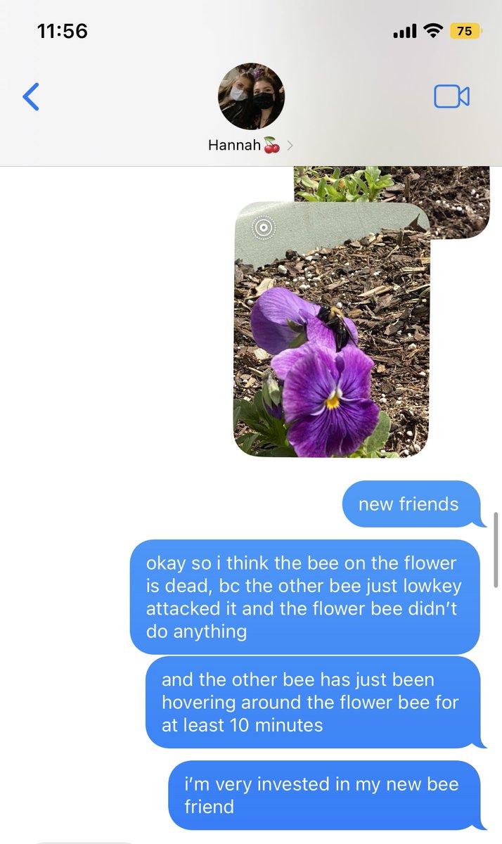 lucy_passini's tweet photo. a bee story https://t.co/sMACNXvi85