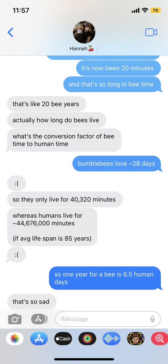 lucy_passini's tweet photo. bonus bee https://t.co/x4O5midrzE