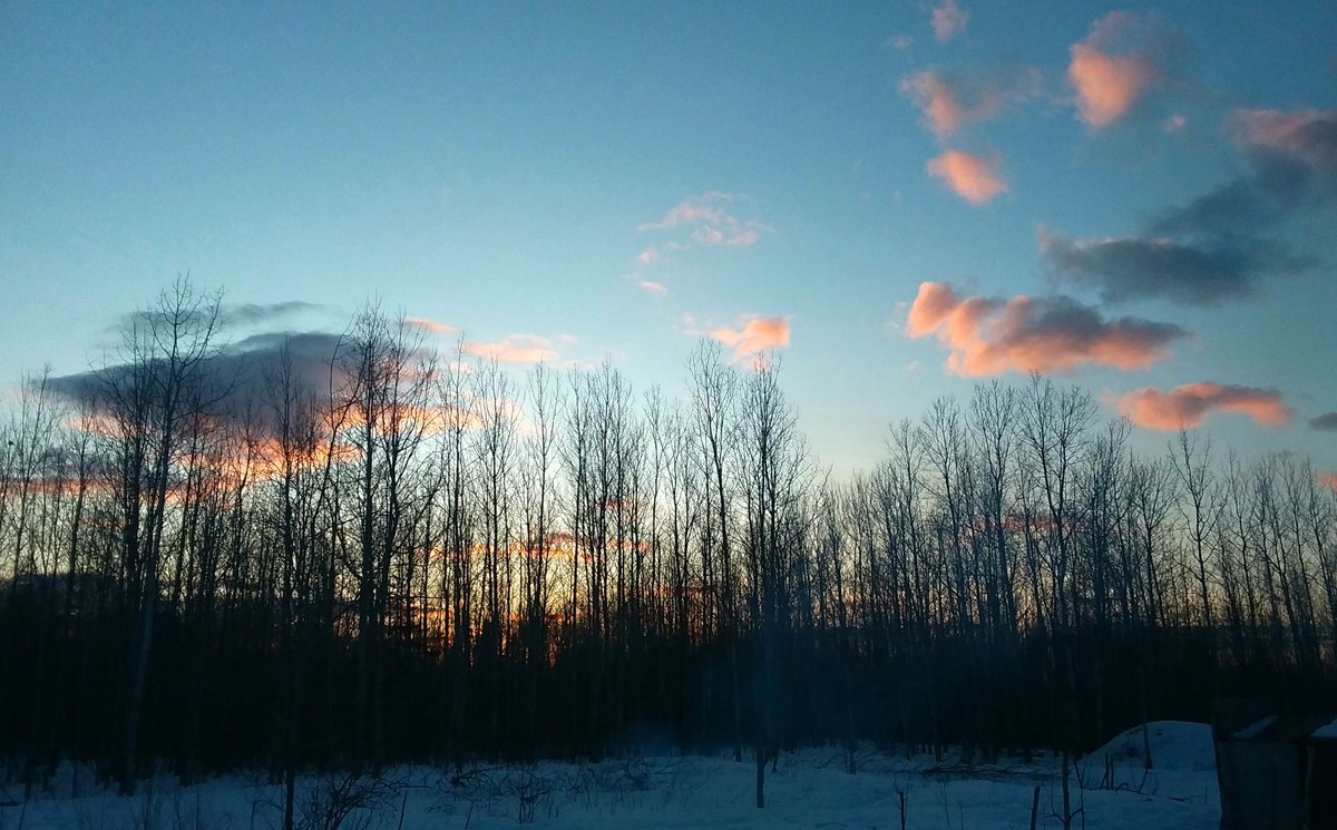 TheRustyIRiS's tweet image. We still have a little while before the leaves will block the sunset.

#Sunset #PrettyClouds #Nature