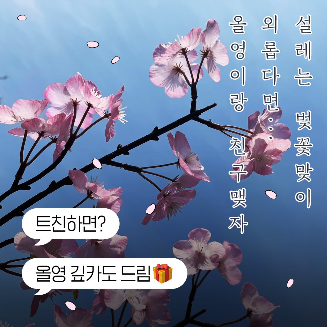 벚꽃이 내린다 샤랄랄라 랄랄라~🌸
벚꽃잎 잡으면 첫사랑이 이루어진다던데…

😉외로운 올갱이들은 팔로우만 눌러줘!
꽃잎은 칭구 올영이가 잡을게😘

👉팔로우 시 20명에게 올영깊카 2만원권 증정!
👉RT하면 당첨 확률 UP!!