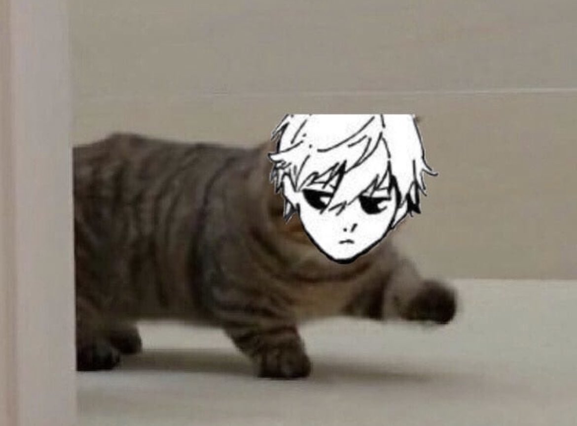 Hayyiiiii I'm looking for a #studytwt
Moots 
    ʕ　·ᴥ·ʔ> about mee :
‼️ dapina/pina
👊🏻 08L, JHS 
♓ gurl, ENJ-T
💖 books, anime, music
⭐ UI, (soon) s0shum '26
#AMBISVERSE #ambistwt #studyacc #studyspo #studytwtina