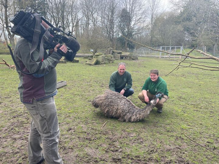 BlackpoolZoo's tweet photo. BBC North West Tonight's presenter Roger Johnson joined us for a morning as a Trainee Zoo Keeper under the watchful eye of Keeper Sam Smith. Watch tonight's episode to see how he got on ๐บ
#BBCNorthWest #RogerJohnson https://t.co/G7lhzCxSAB