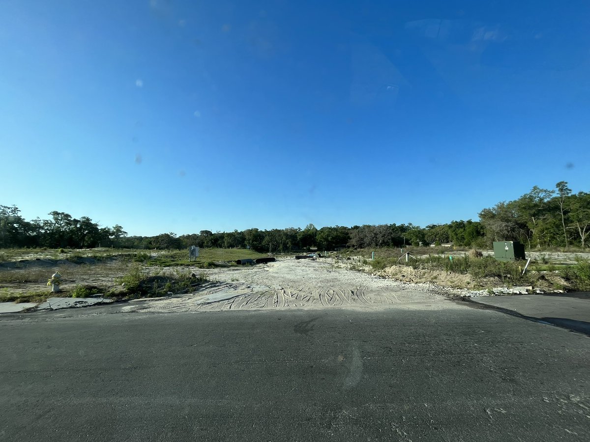 Matt Bee tweet media