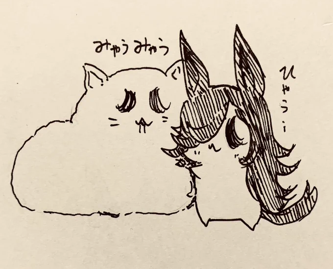 今月は半ライス大活躍でした🍚 