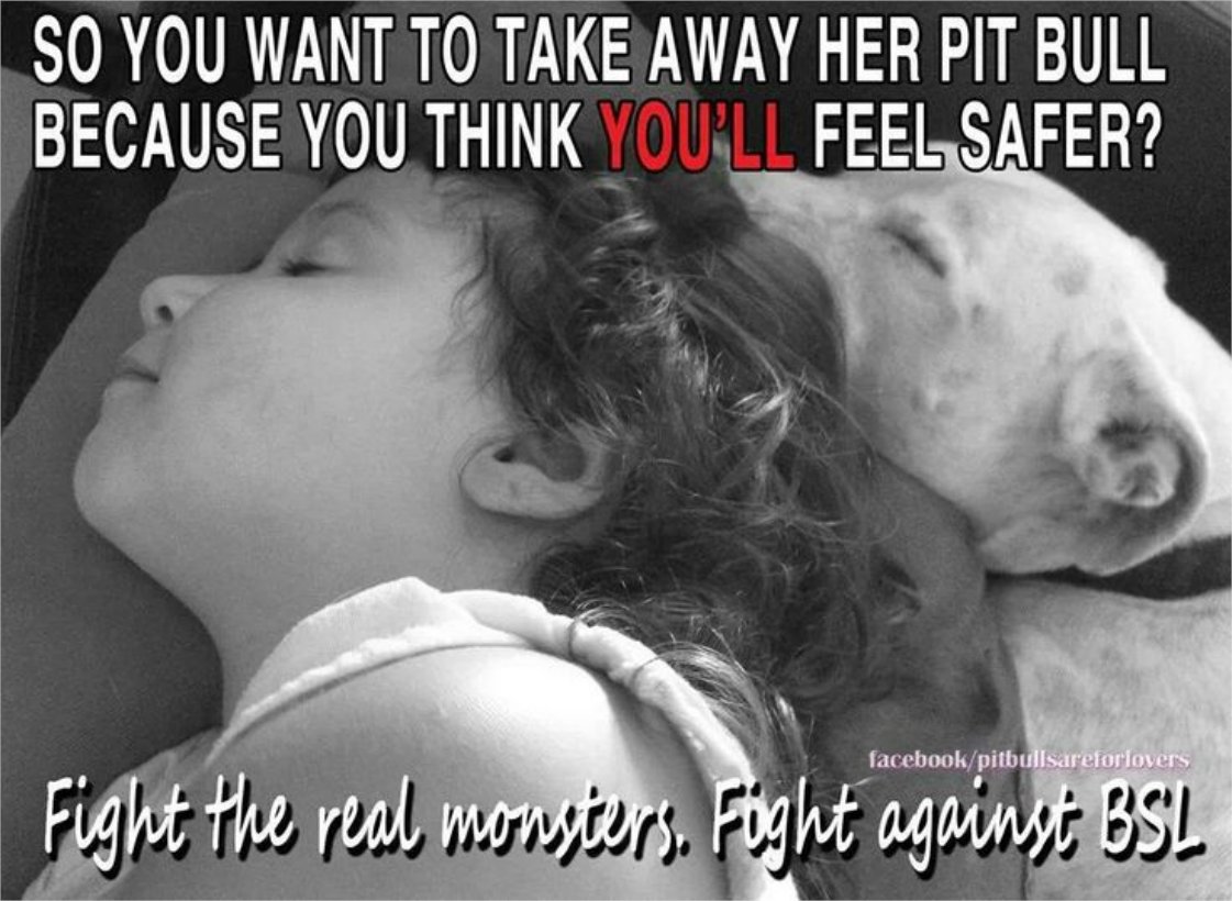 It should be obvious by now that BSL is not the answer. I hear even Miami is close to ending its ban after 34 years. These laws do nothing to make people safer. It is time for the rest of the world to finally end it once & for all. #endBSL