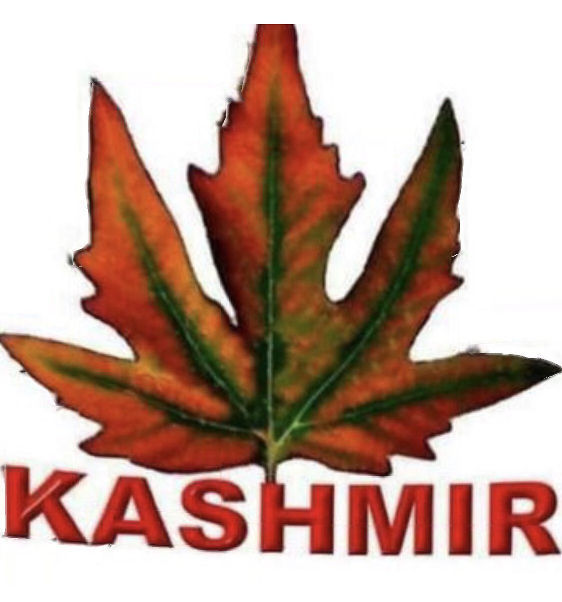 اس امید سے لڑ رہے ہیں جبر کے اندھیروں سے.
طلوع جو سحر ہوگی وہ سحر پھر ہماری ہوگی.
انشاء اللہ✌️