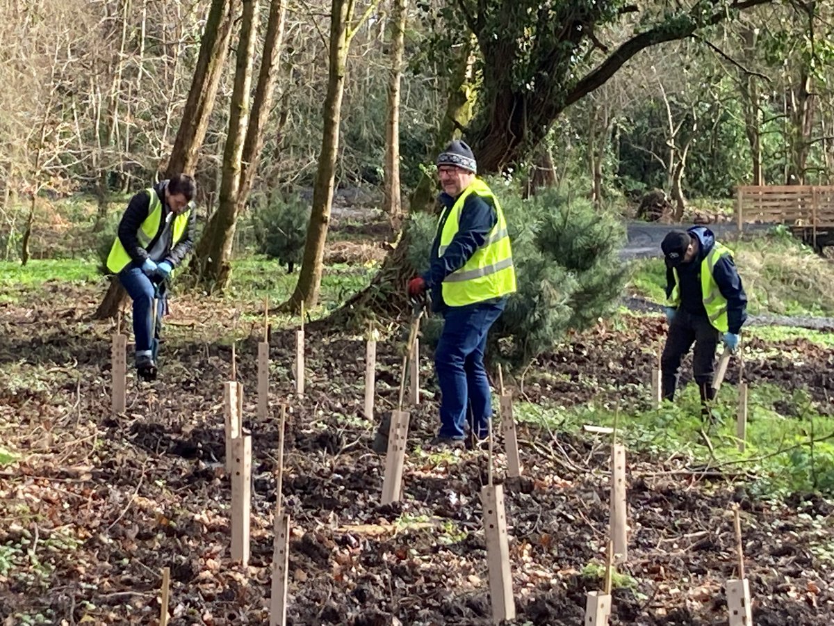 keithlippert_'s tweet photo. @AllstateNI recently partnered with the @NCSC to participate in the "Big Tree Project." 🌳 🌳 

The project aims to plant one million native trees across Belfast by 2035, and Allstate Information Security employees did their part by planting 500 trees.  #environmentalawareness https://t.co/XZEJbNuyJZ
