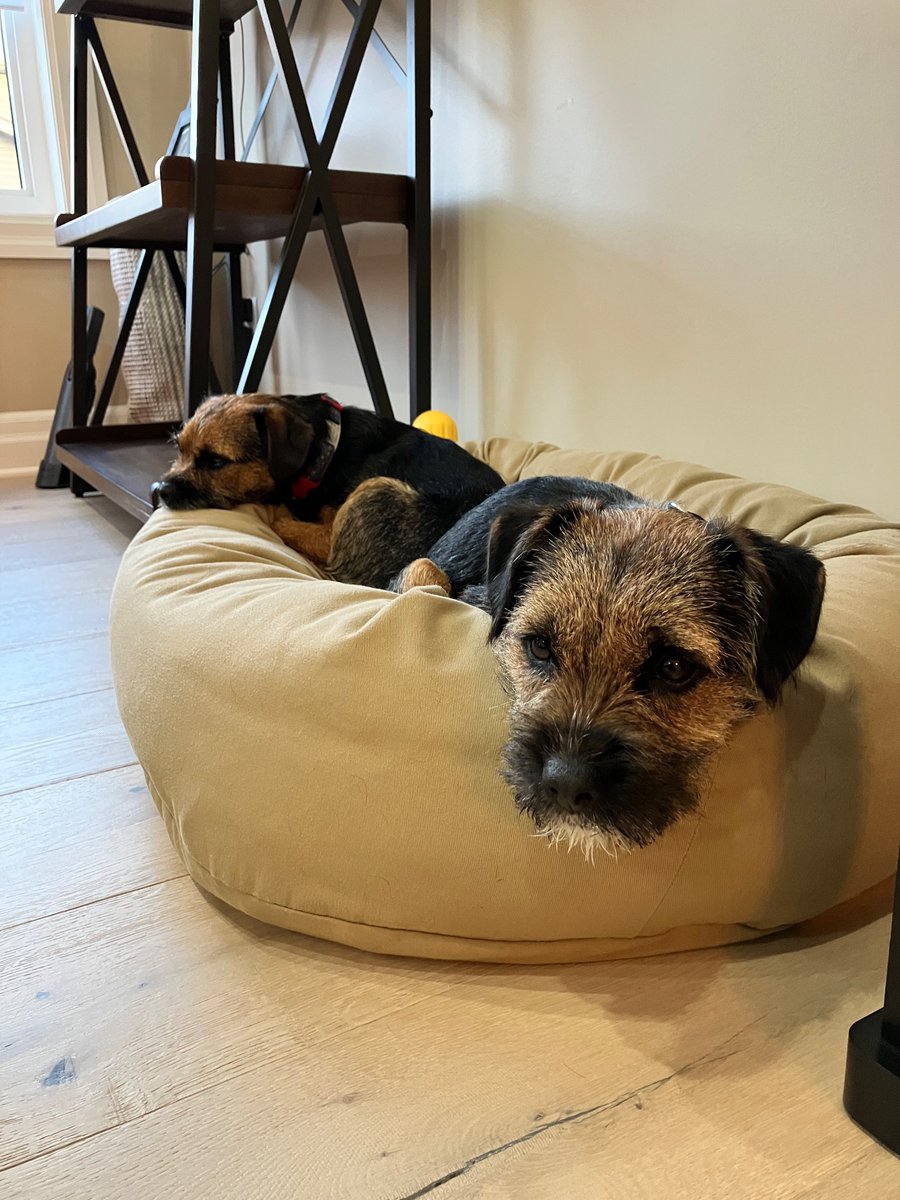 Photo Of The Week #BTPosse