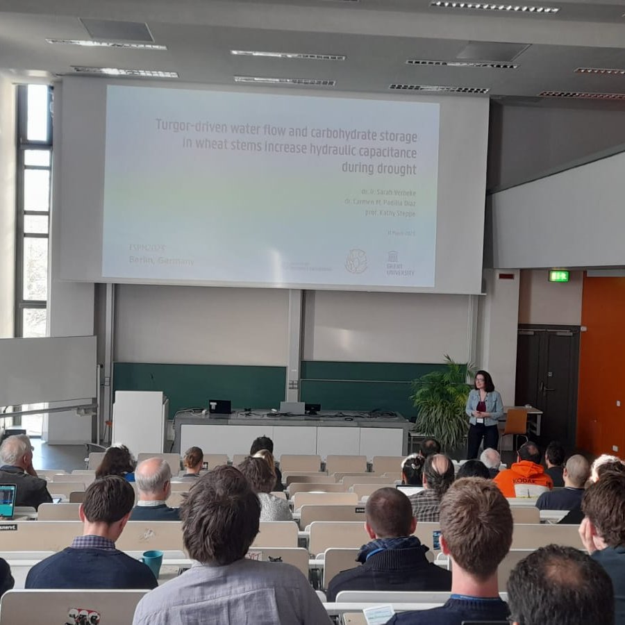 LabPlantEcology's tweet photo. We have successfully presented two full presentations and three posters at the @fspm2023 congress in #Berlin.

Congratulations Sarah, Abderahman, Jonas, Simon and Helena 👏

@insilicoplants https://t.co/dTQ4AqqccI