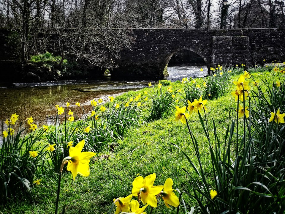 K_Imrama's tweet photo. #Lostwithiel #spring #FoweyRiver #TudorBridge https://t.co/Z4cpPtdtgG