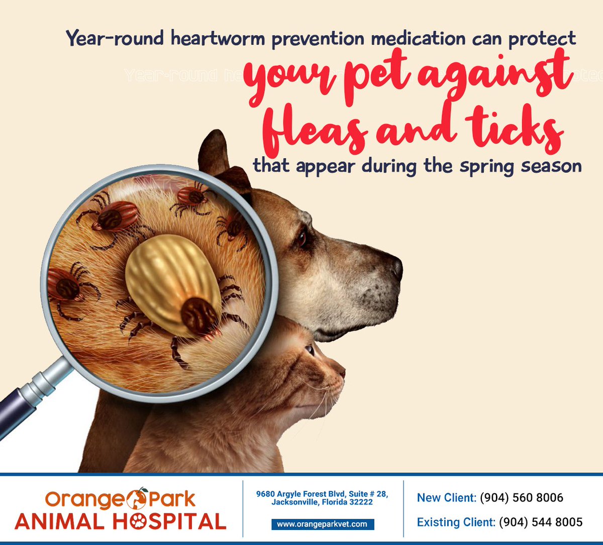 Make sure you have given your pet heartworm prevention medication to keep him or her safe this spring. Speak to your vet if you have any questions. #fleaprevention #heartworm #petcare #orangeparkanimalhospital #jacksonville #FL