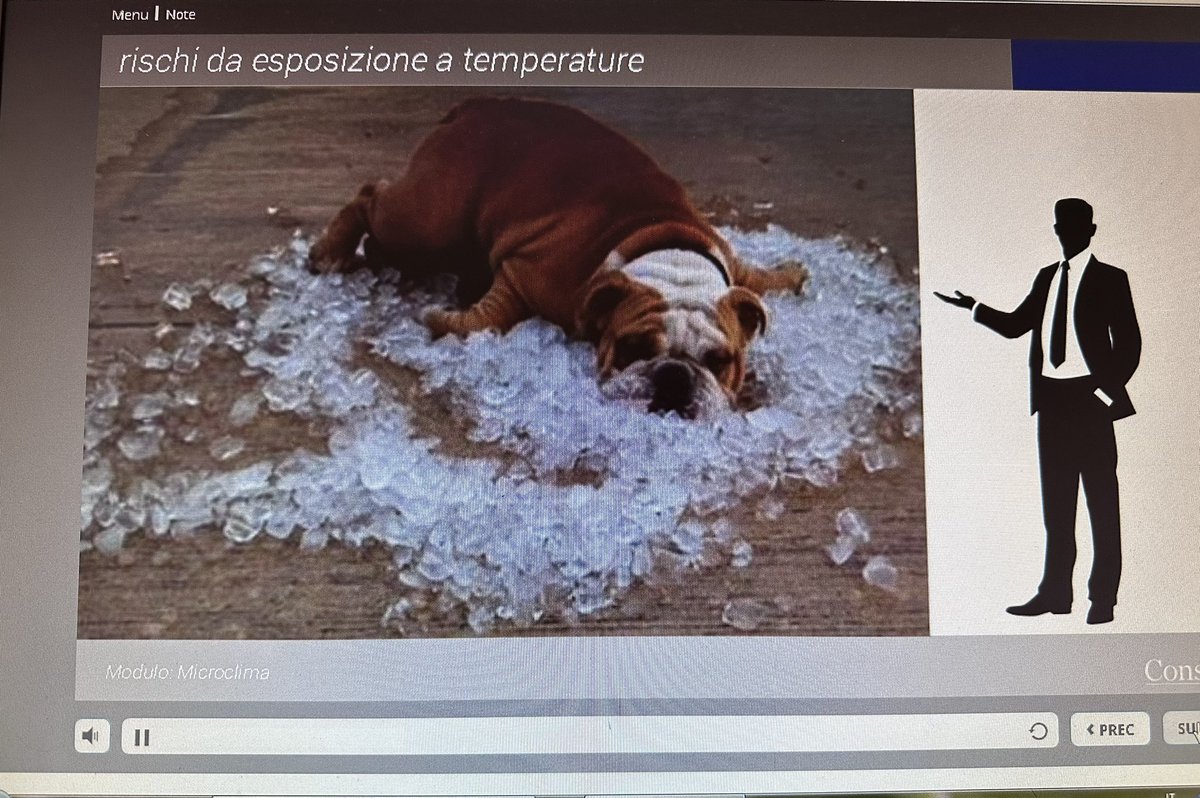 nadiussi's tweet image. .. la tua voce (molto profonda) ed io ..🎧
#mytutor
#corsionline 
#mood