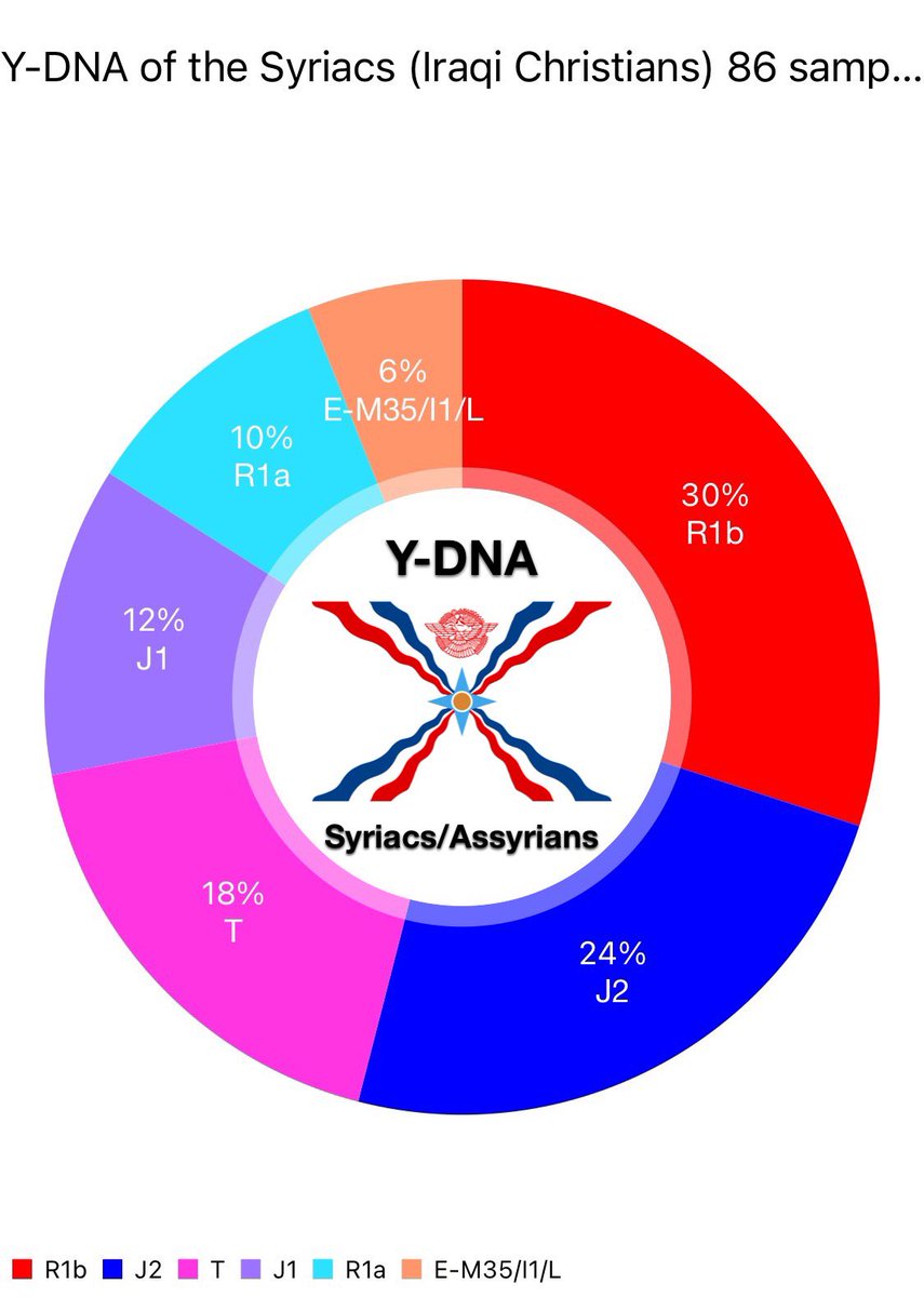 السلالات الجينية للسريان، مسيحيي العراق

Y-DNA of the Syriacs aka Iraqi Christians, the last of the Assyrians.

-Glorious R1b dominates the chart.

-A large cluster under the Ancient Syriac Haplogroup T.