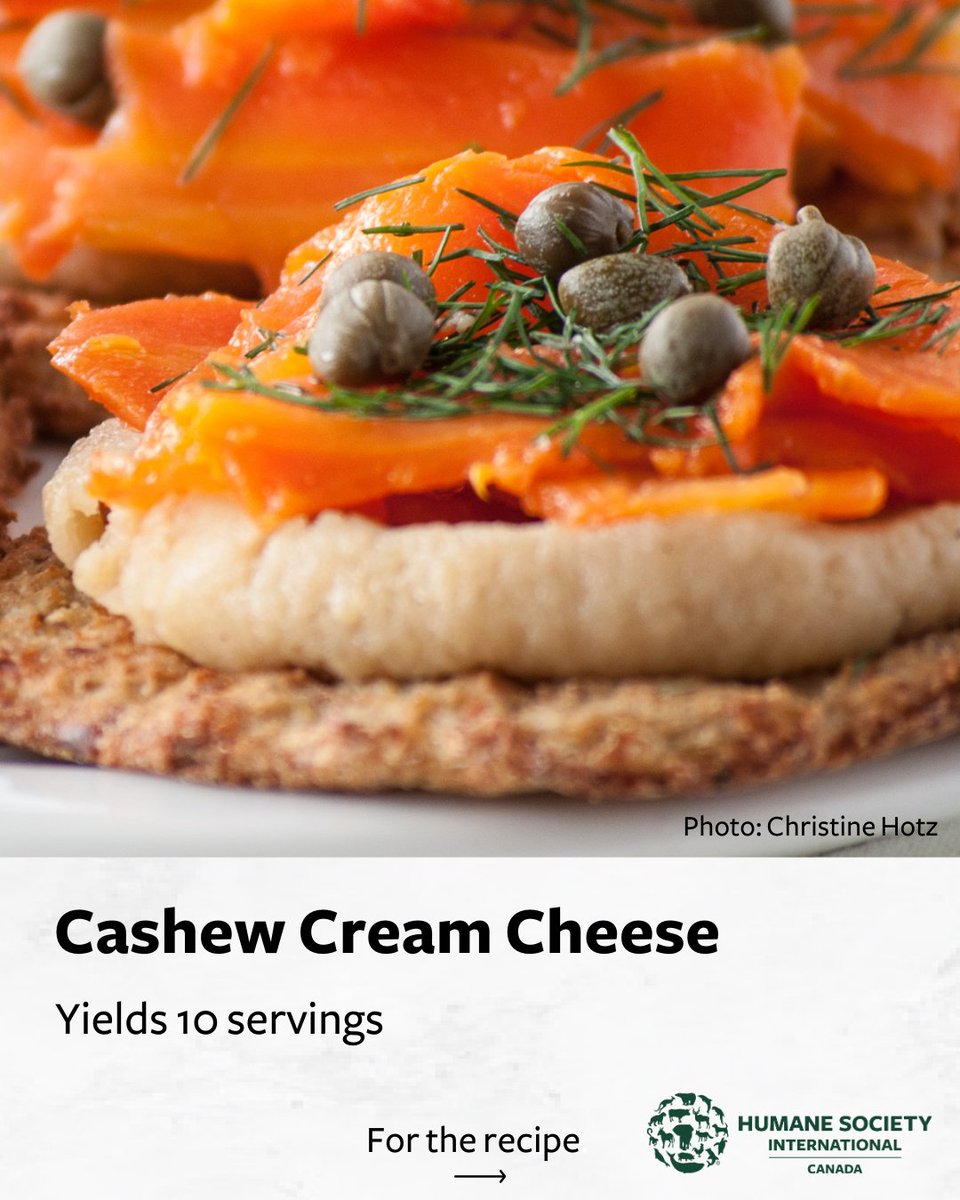 humaneworldcan's tweet image. Did you know you can make your own #dairyfree #creamcheese from cashews? 😮

Best of all, this simple recipe only requires 4 ingredients. 

Add your favourite herbs! And to make this recipe #nutfree, you can easily swap out the cashews for raw sunflower seeds.