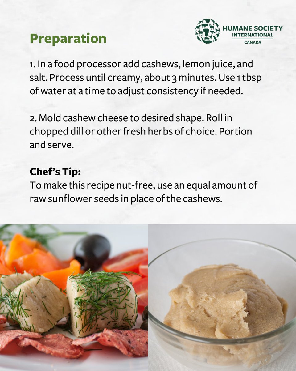 humaneworldcan's tweet image. Did you know you can make your own #dairyfree #creamcheese from cashews? 😮

Best of all, this simple recipe only requires 4 ingredients. 

Add your favourite herbs! And to make this recipe #nutfree, you can easily swap out the cashews for raw sunflower seeds.