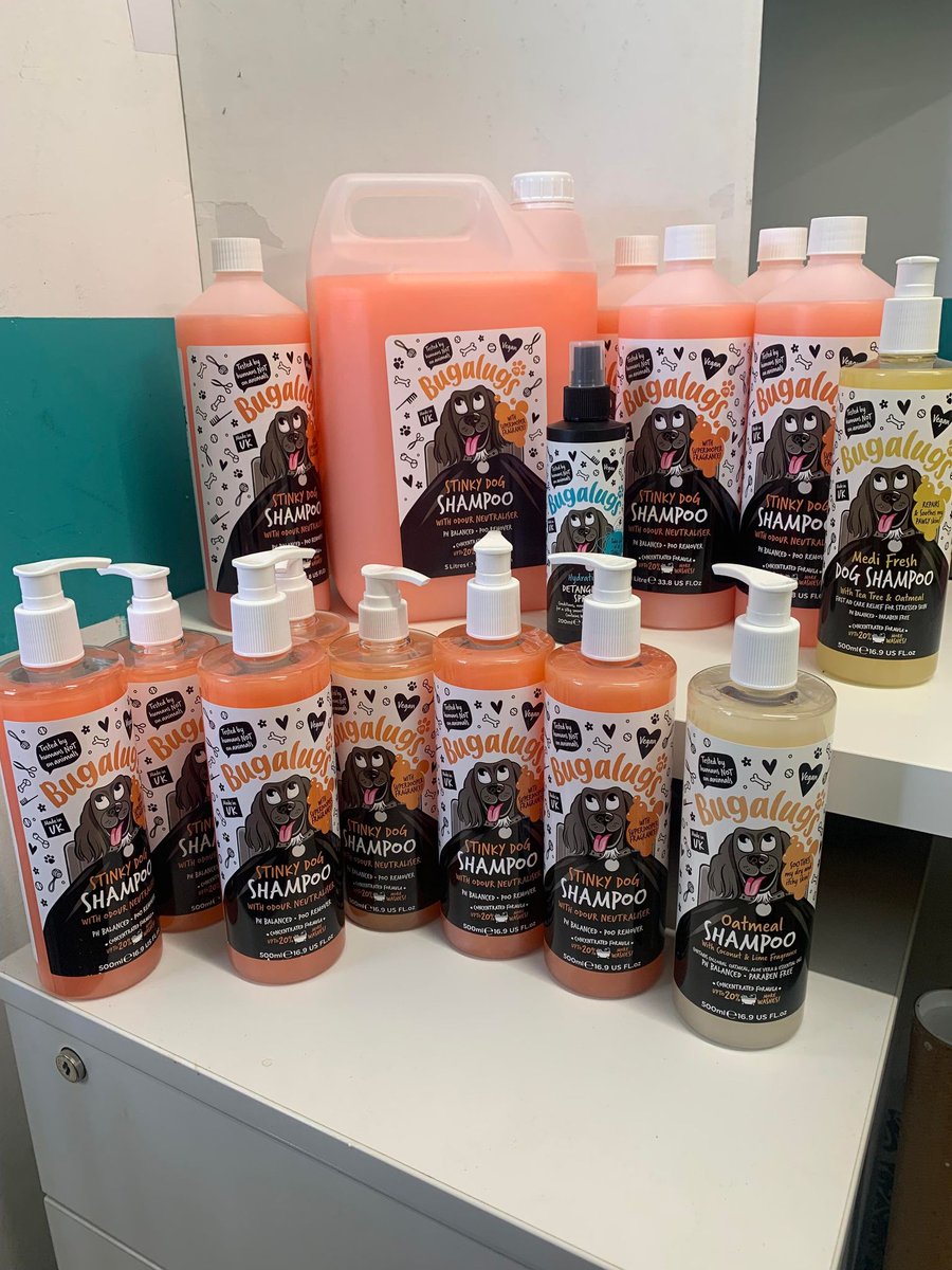 CornwallRspca's tweet photo. Thank you to everyone who donated shampoo to our dogs 💙 @bugalugspet 
We have received enough now to help our recent influx of neglected dogs feel more comfortable and clean. https://t.co/CSE2Ig6rSP https://t.co/VuAxPPE3WF