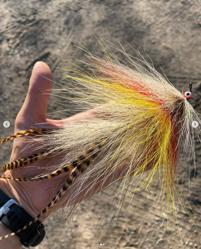 Saltwateronfly's tweet photo. Love the Hair Style, and yes can't wait for Ice Out
@meat_hatch_inc Starting to get a little itch for muskies, too bad there’s still snow on the ground…
.
#muskycountry #musky #muskyfly #muskyflies #muskyhunter #muskyfishing #muskyflyfishing #muskyflytying #muskyflys https://t.co/qpaNtElzog