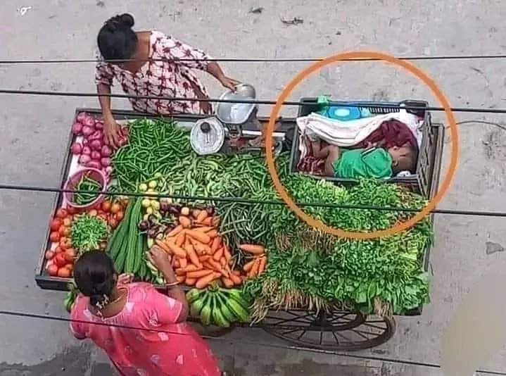 tarksahitya's tweet photo. कुछ तस्वीरें ख़ुद बोलती हैं। माँ को सैल्यूट 🙏 https://t.co/3W2Qp863GJ