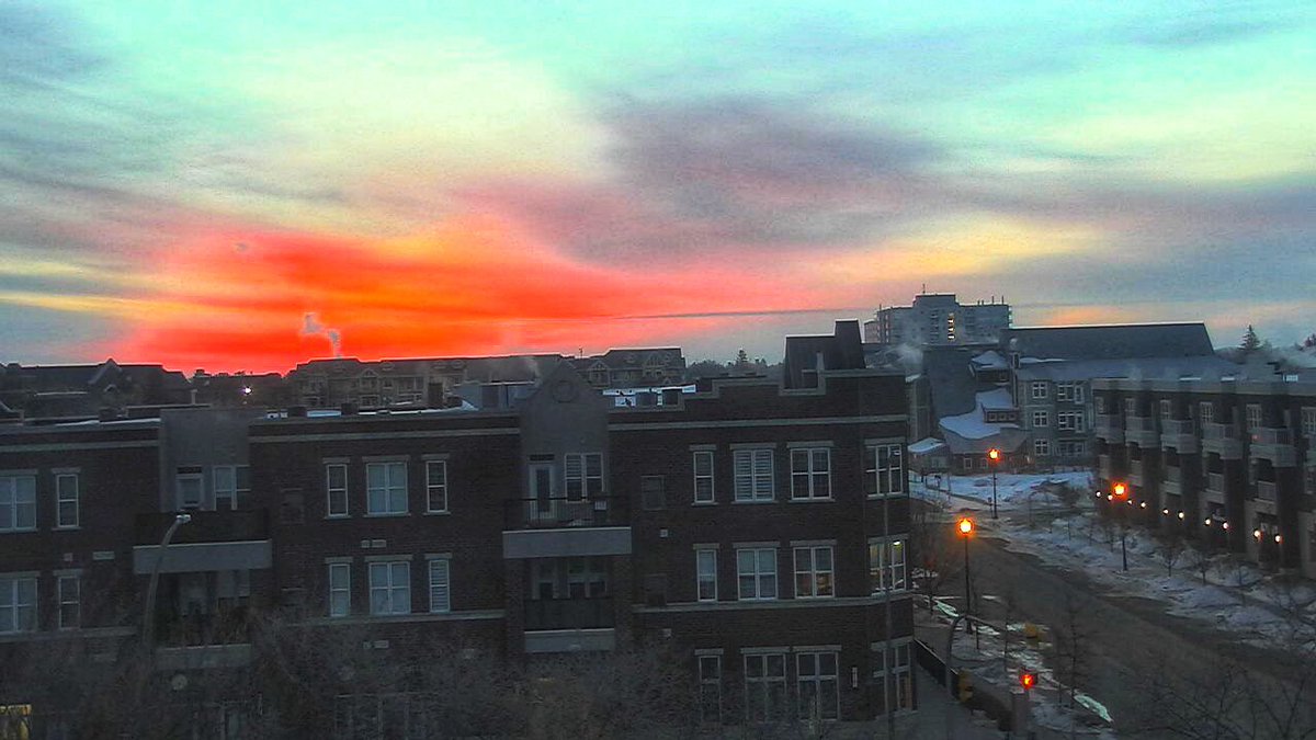 Chris Arden Haynes tweet media