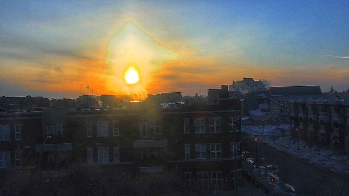 Chris Arden Haynes tweet media