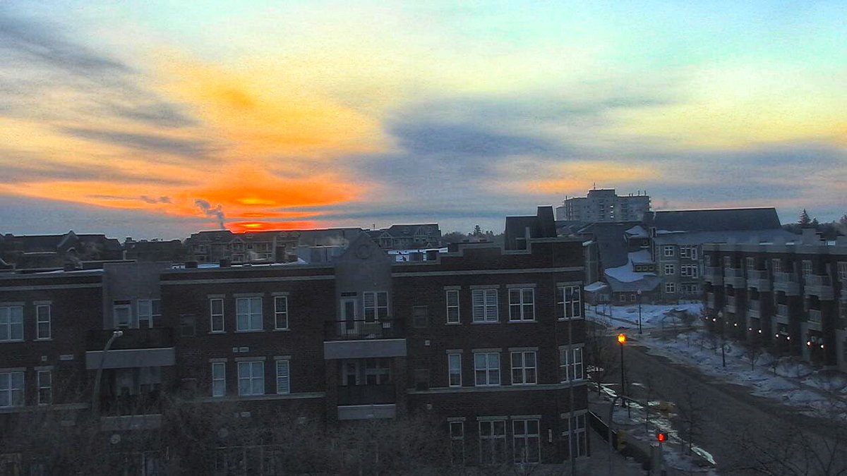 Chris Arden Haynes tweet media