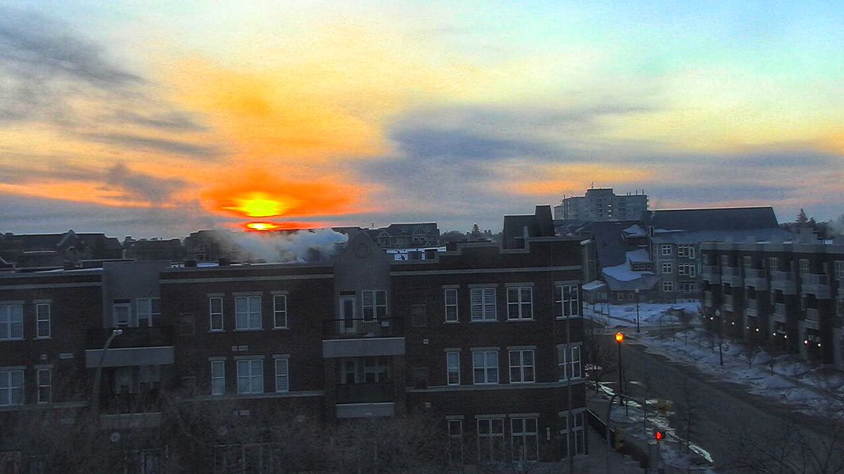 Chris Arden Haynes tweet media