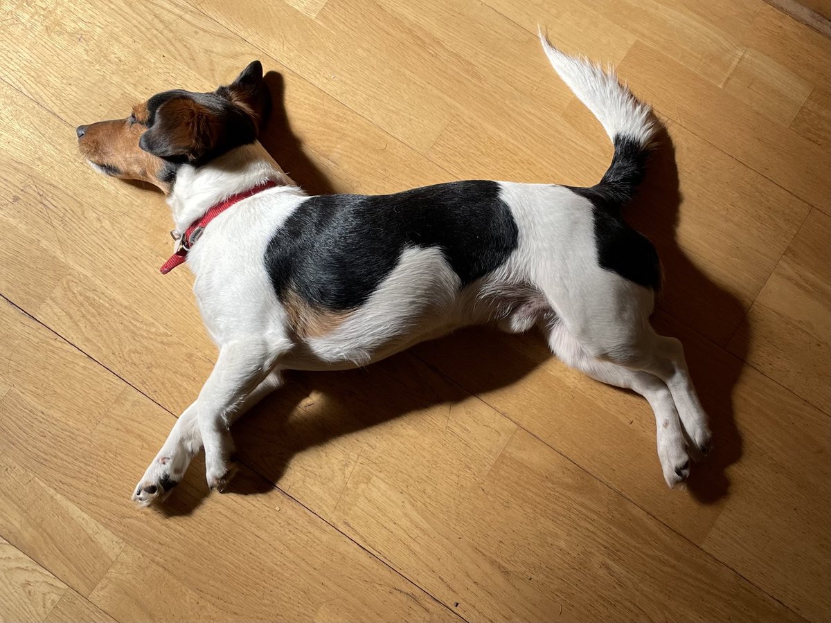 BBC Cameron Buttle tweet media