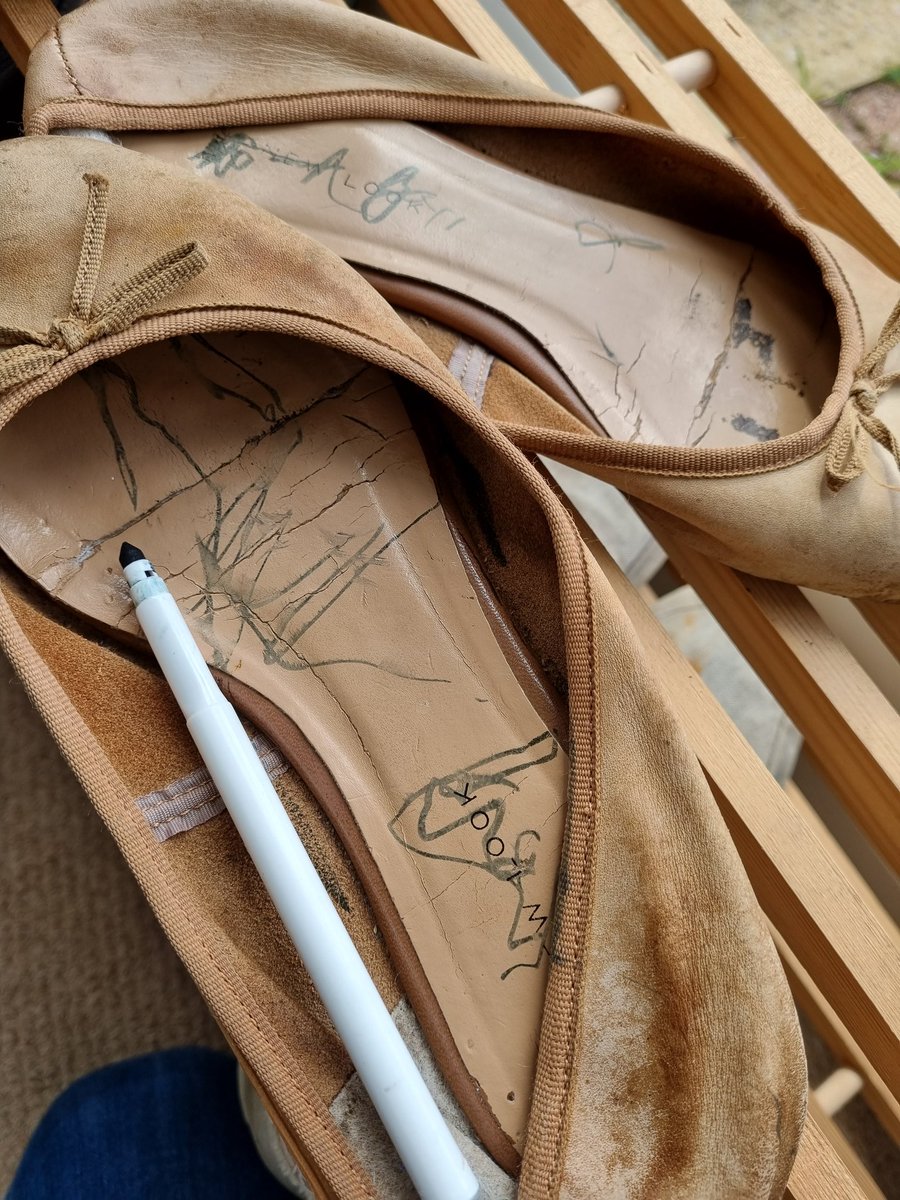 LisaAndJethro's tweet photo. Just found this artistic scene 🤦‍♀️ (luckily very old shoes used only in the garden) https://t.co/DlmgzL7isl