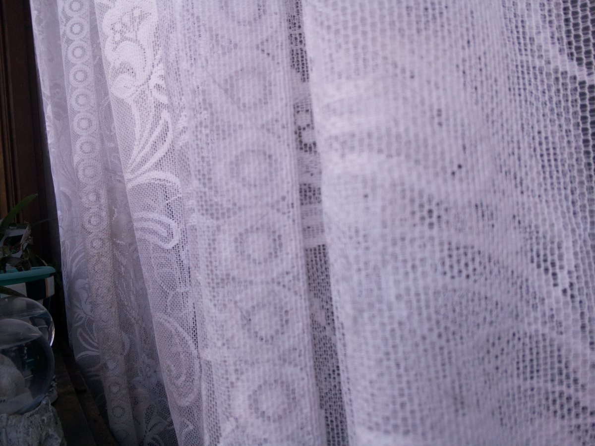 Window_Walter's tweet photo. What are the most important factors in maintaining a well functioning society? What does it mean for a society to function well?

#ForTheA
cat/2023-03-30 ~ 09-09-03 https://t.co/bfb5YWBlRa