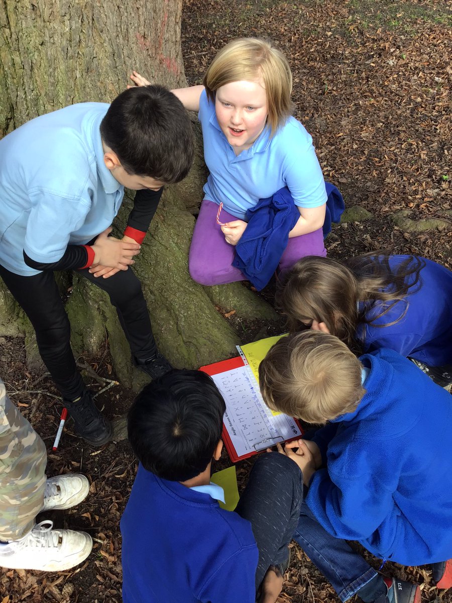 Christletonpri's tweet photo. Year five Anglo-Saxon runes secret trail #cpshistory https://t.co/Ytd69lYmPZ