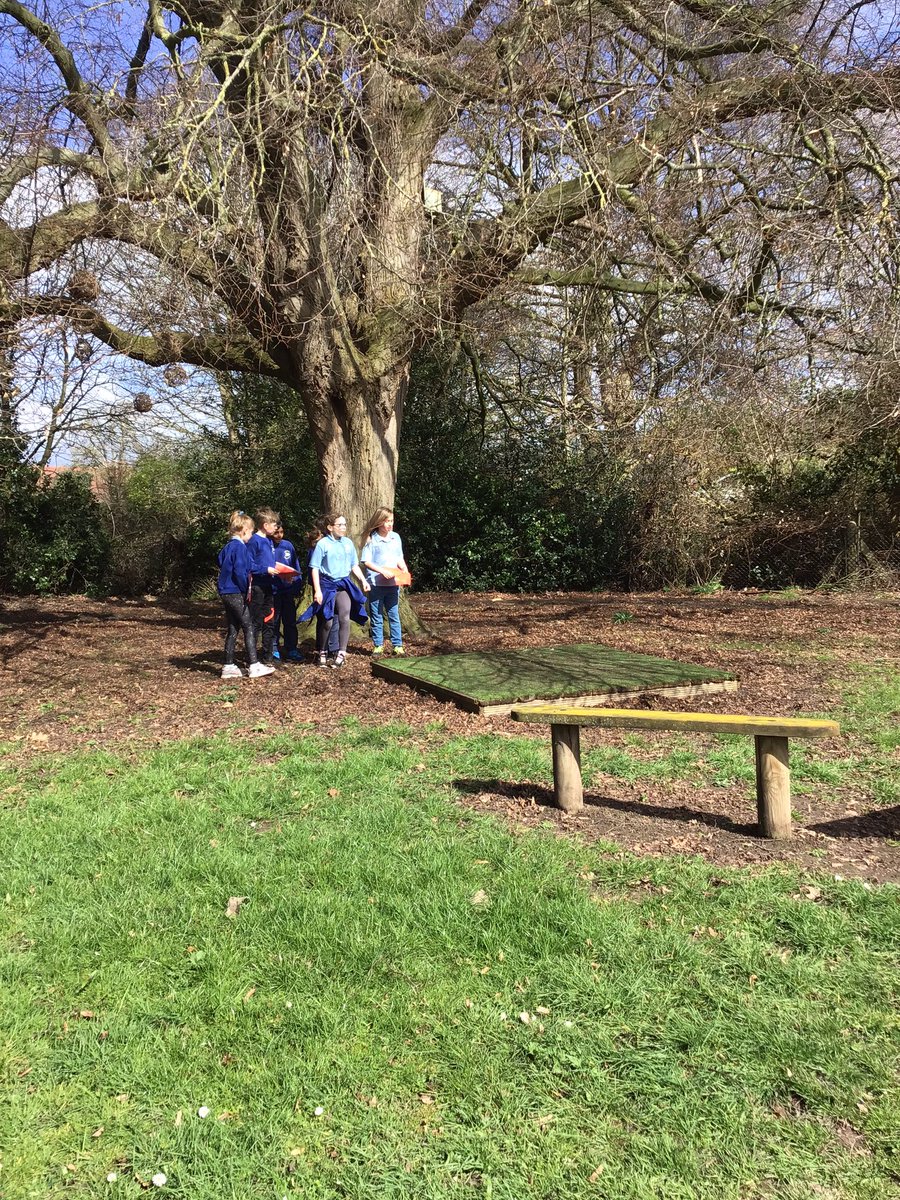 Christletonpri's tweet photo. Year five Anglo-Saxon runes secret trail #cpshistory https://t.co/Ytd69lYmPZ