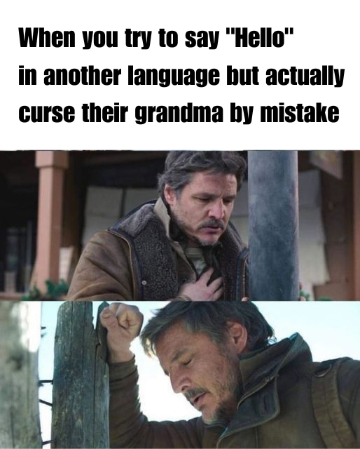 RykeWeiss's tweet photo. I'm sorry 🤣 
.
.
.
.
.
.
#languagememes #duolingo #duolingomemes #langtwt #languagelearning #memes #languages #idiomas #studytwt https://t.co/qhxlVm26iJ