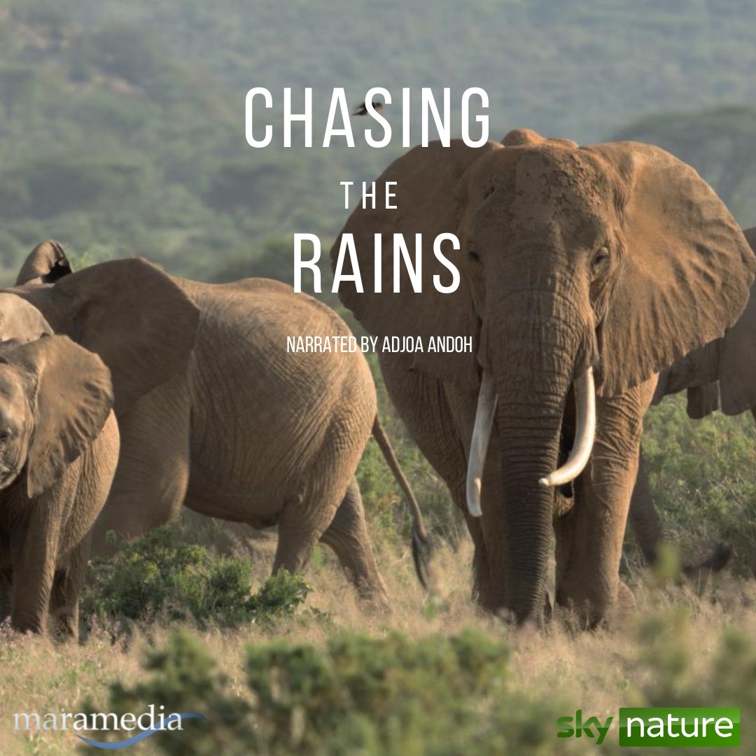 Maramedia tweet media