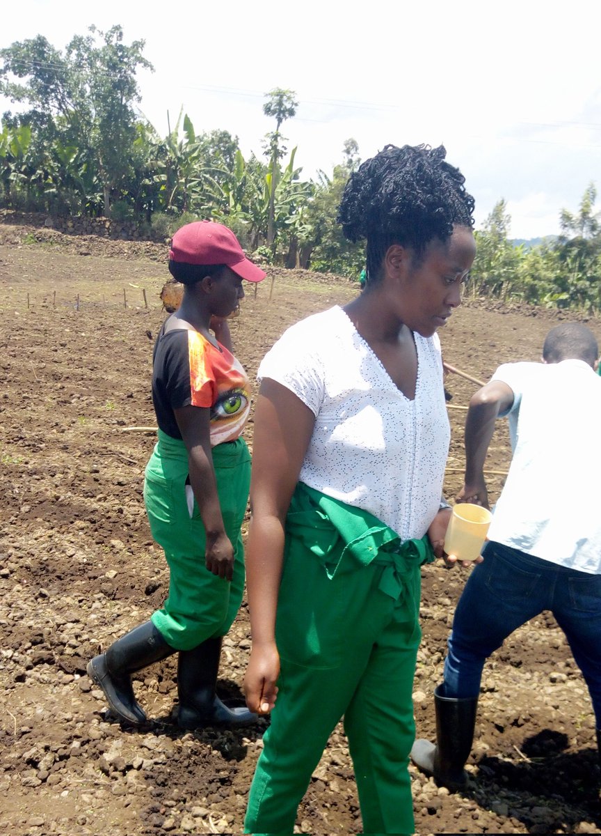 ZacharieNDAYIS5's tweet photo. An agents of changes👌

Engagement of the #youth in agriculture will feed the world 🥑🍓🥔💵 @YouthCultureRW https://t.co/YLSNzbOtn9