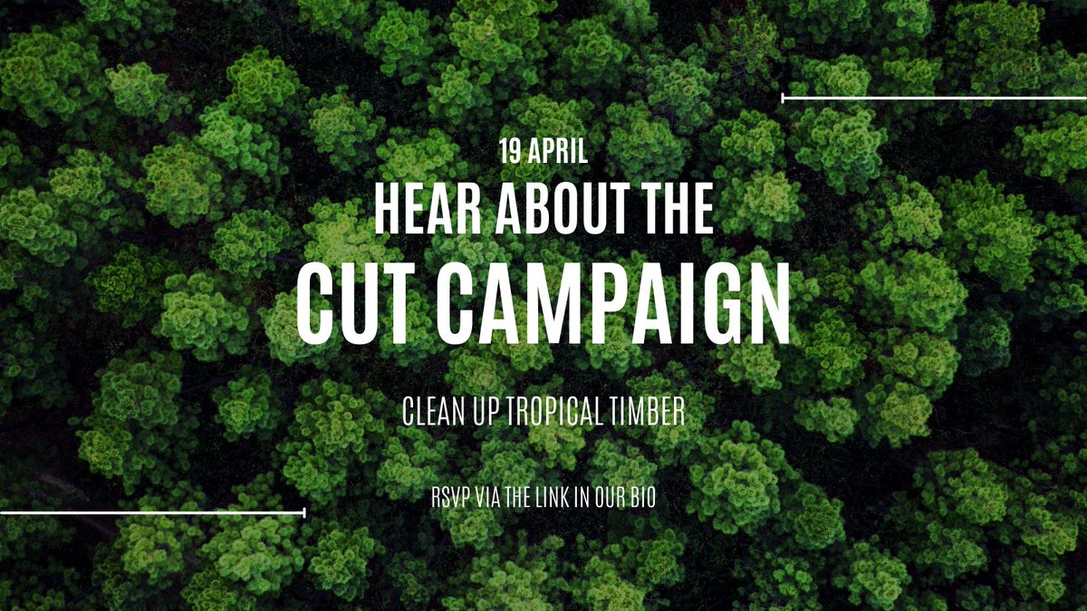 19th April at 7.30pm we’re so excited to have Hoon from the Clean up Tropical Timber campaign coming to speak to us. It’ll be a really valuable opportunity to hear how we can help protect our rainforests from here in Chester. RSVP via the link below